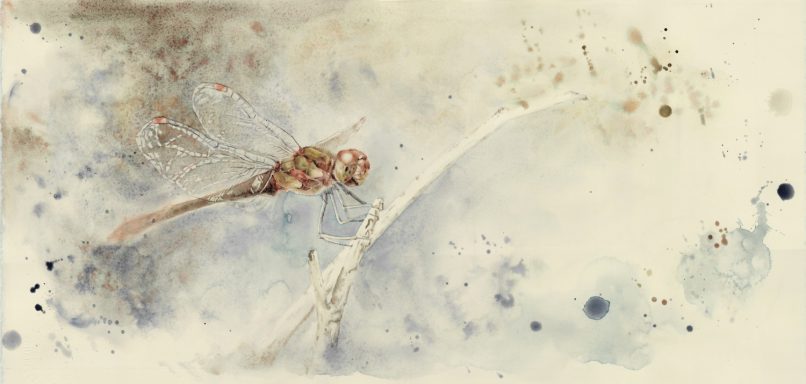 Die Libelle von Doris Beissel